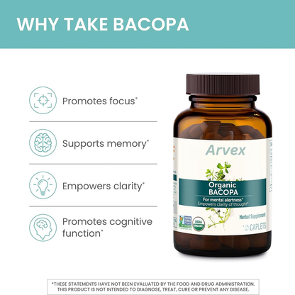Organic Bacopa Monnieri Nootropic